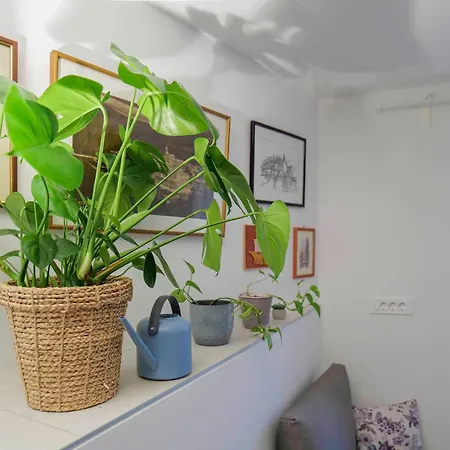 Cukarin Heritage Apartment